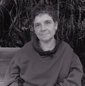 ar-gypsy-ray-%e2%92%b8-iii-1995